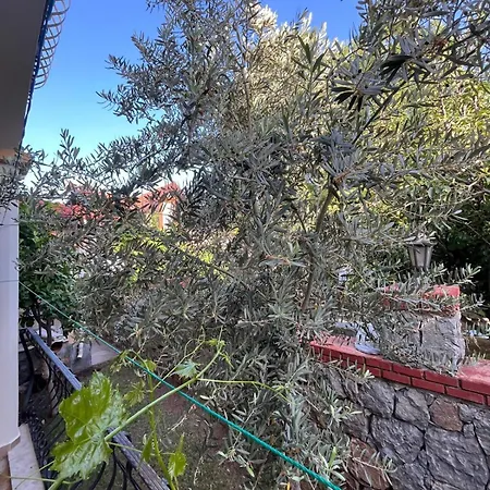 Fty - Turizm Yatirim Tatil Villasi * フェティエ